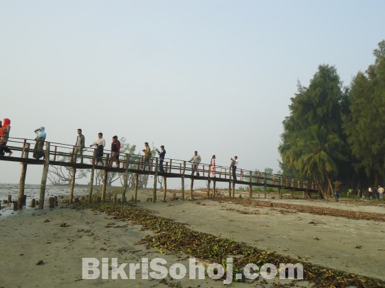 Sundarban Tour (Package or Corporate)